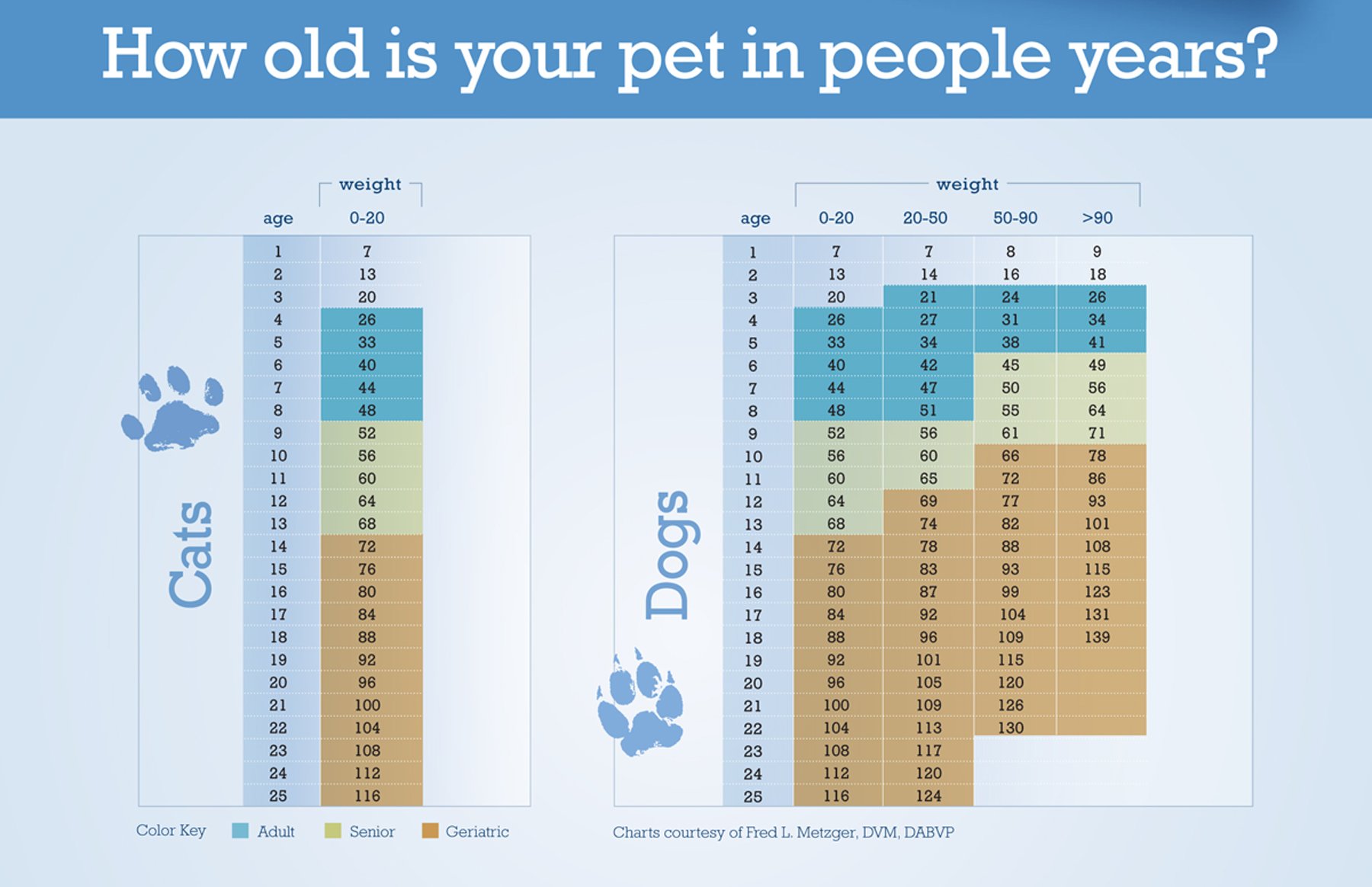 Pet aging lengths, Tasks, and Schedule